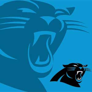 NFL Carolina Panthers Double Vision Fast Charge Wireless Charging Stand Skin